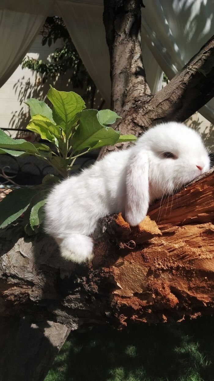 Чем можно завидовать этому красавицу?