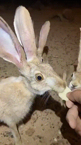   -