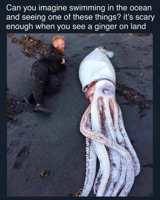 - , ,   