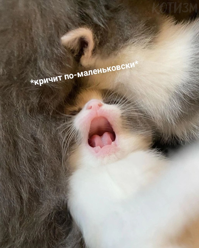     ,      , ,   
