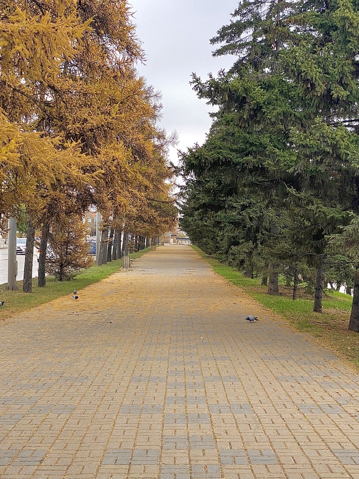 ����, �� ��������!