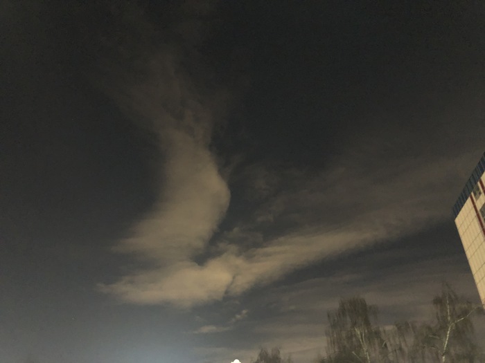 Полёт птицы