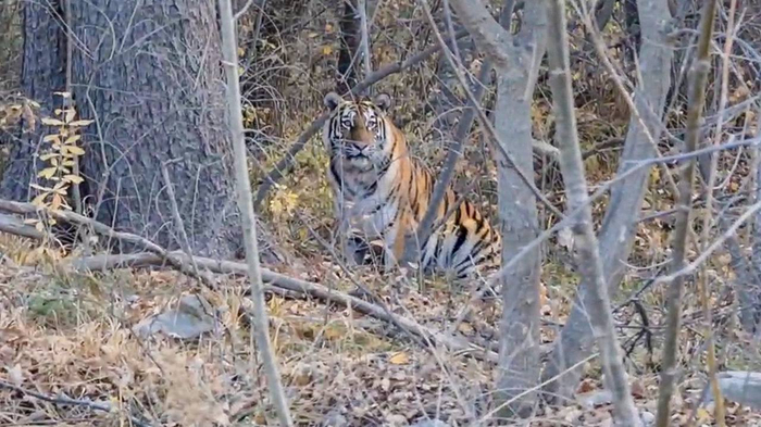 Встреча в Тернейском районе Приморского края