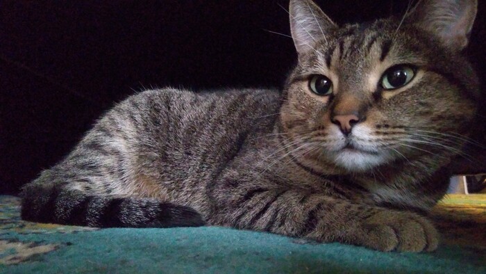 ������ ��� � �����