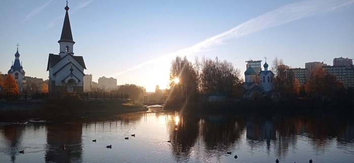 Доброе утро из Пулковского парка Фотография, Санкт-Петербург, Пулковский парк, Длиннопост