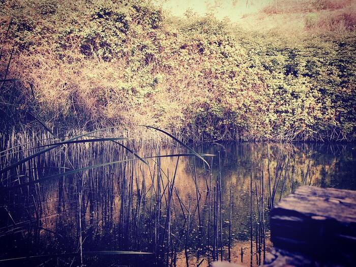 #51 � ����