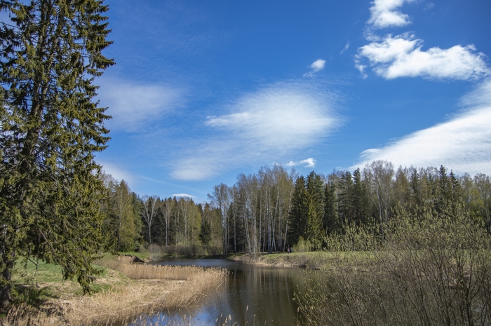 ���������� ����. ���� 22-��