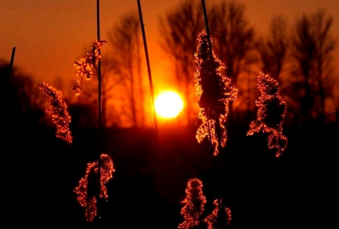 9  ,     (Maelinhon)