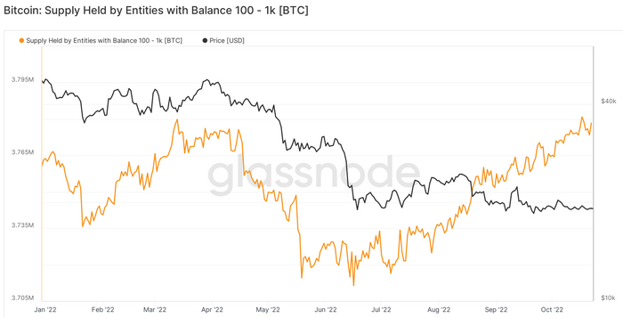 В противовес китам креветки выкупают падение Bitcoin Криптовалюта, Инвестиции, Биткоины, Длиннопост