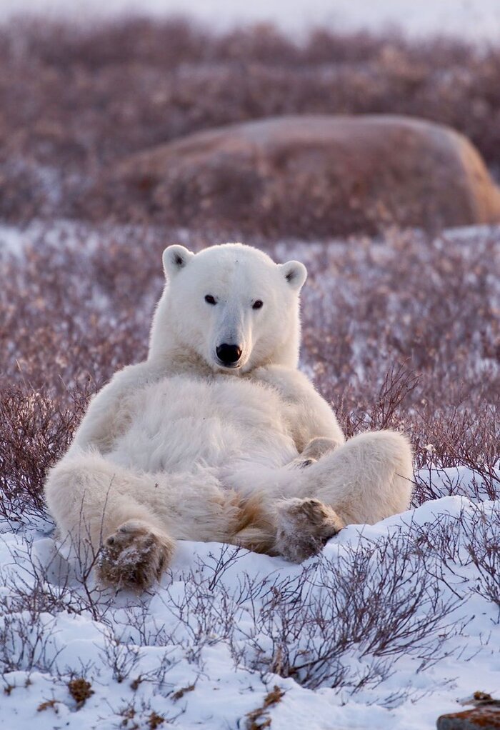Я всё вижу, уходи