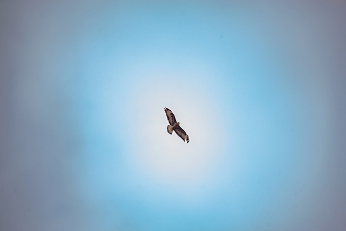 Красиво летит)