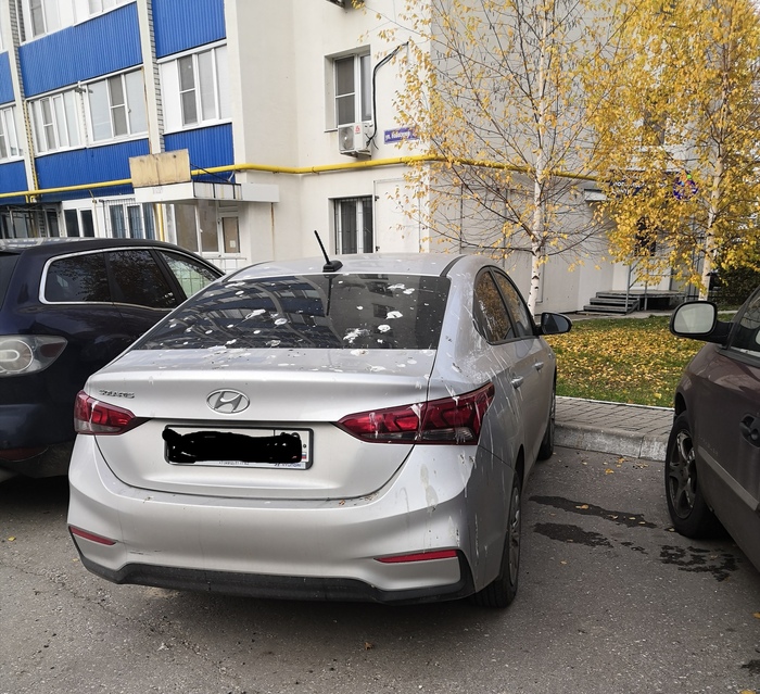 Наверное, миллион скоро выиграет