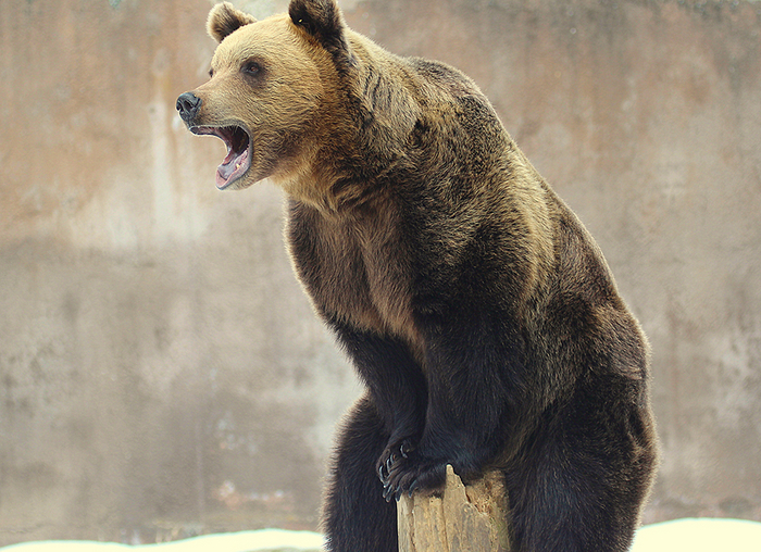 Неудачно прыгнул