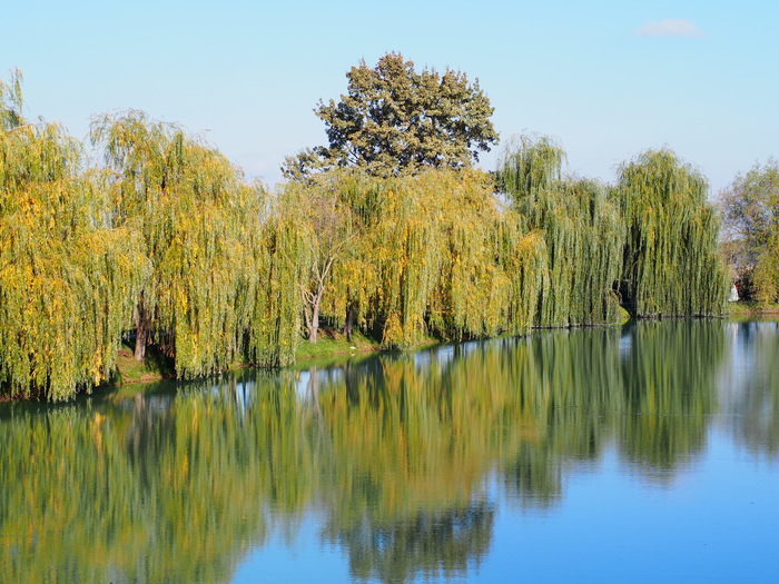 ������� �����