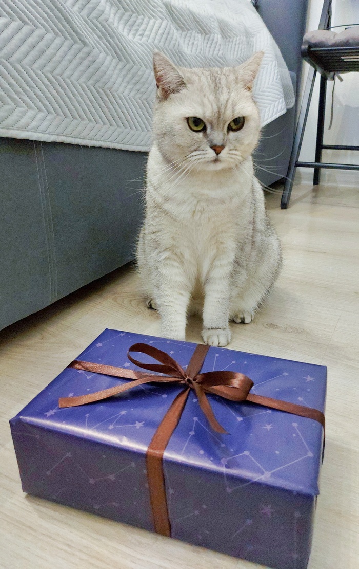 ���������� � ���, ��� ��� � ����