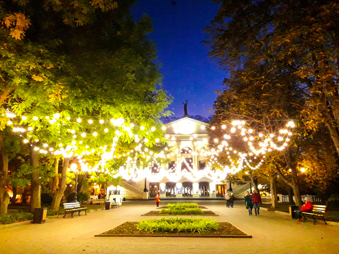 ���� ������