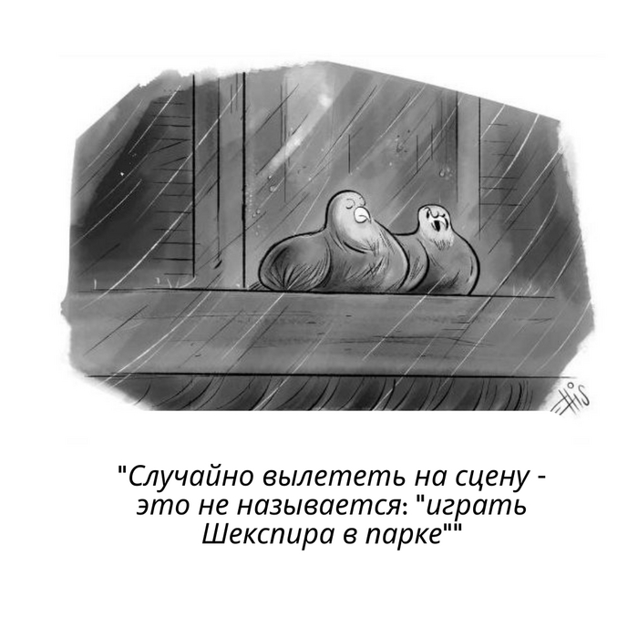    , The New Yorker, 