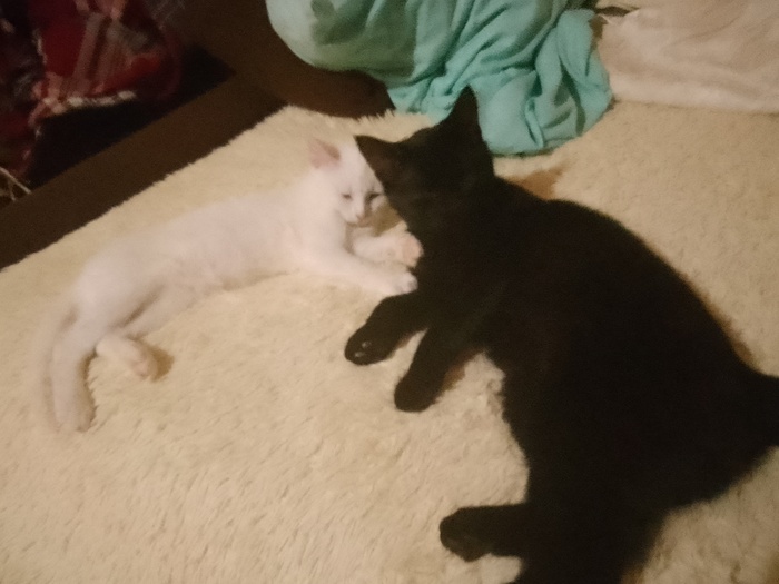  &  , ,  