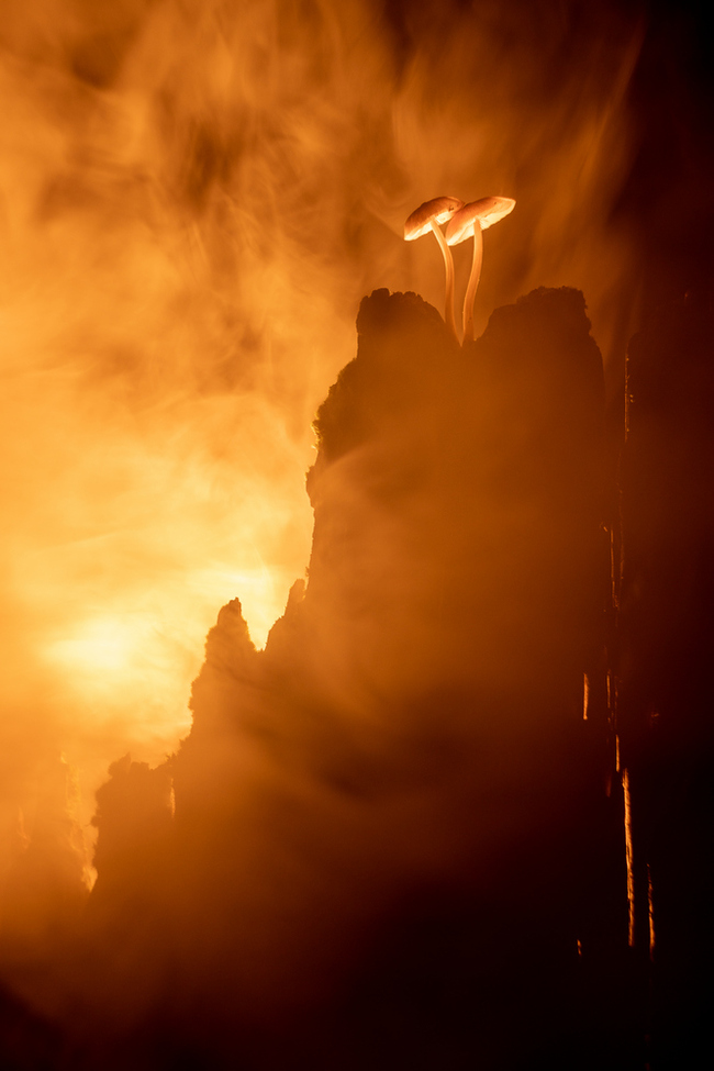 Бросай кольцо, Фродо!