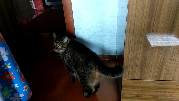 Уйду я от вас