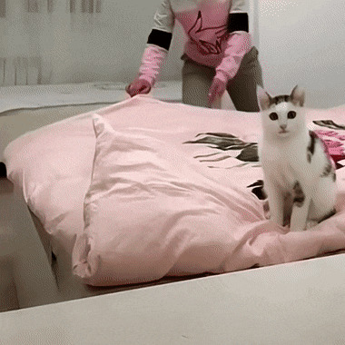      , , , 