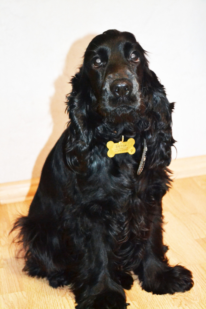 ��� �����