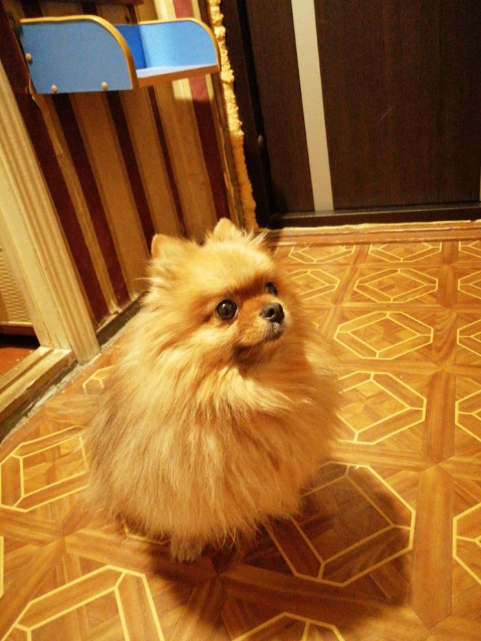 Я внимательно вас слушаю)