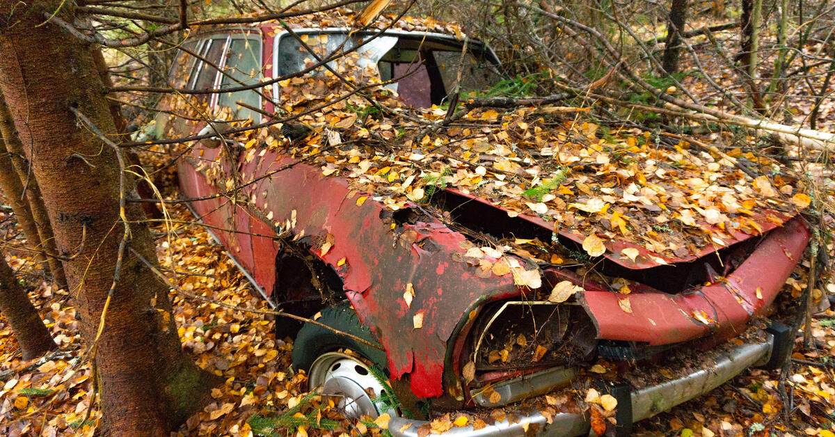 Брошенные 20 22. Брошенные автомобили. Abandoned Peugeot.