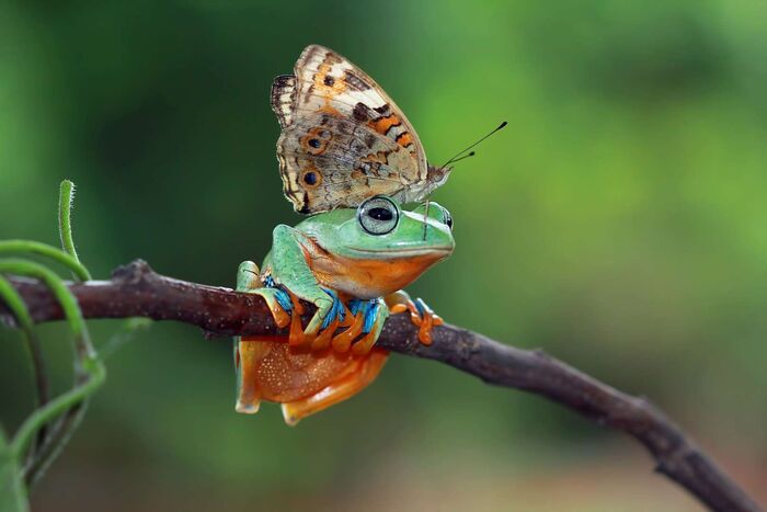 ���� � ����