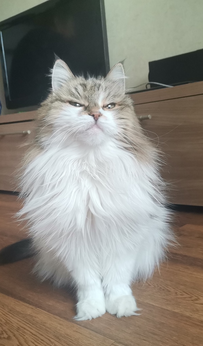 ������� ��� 3�� ���������