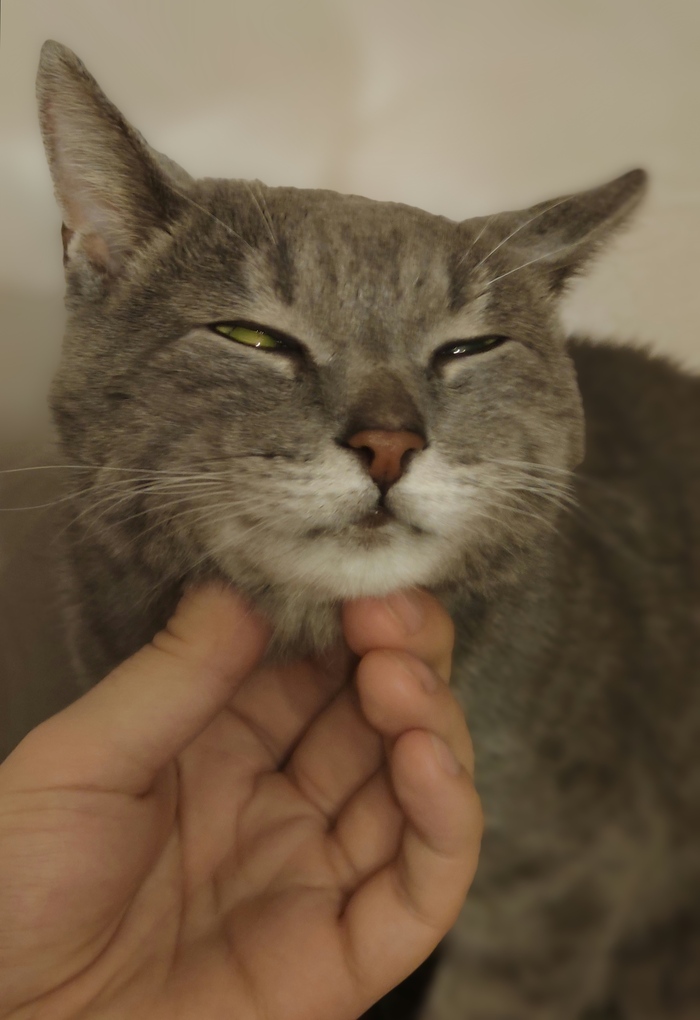 Старичок кайфует