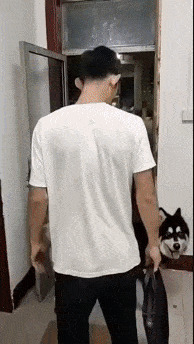      , , , 