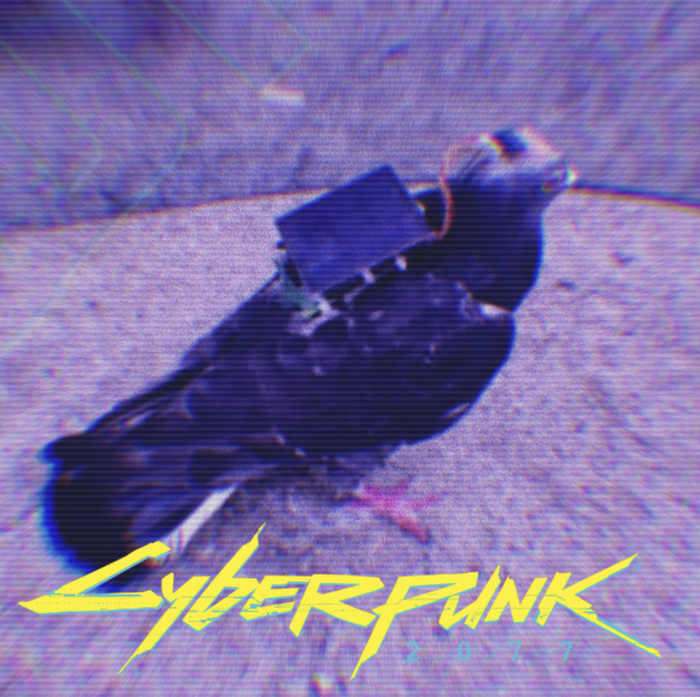  , Cyberpunk 2077, , , 