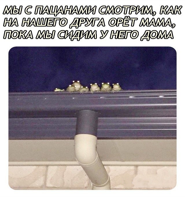 Жаль этого добряка