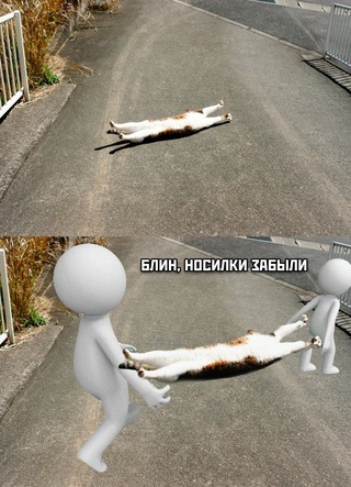 Носилки забыли