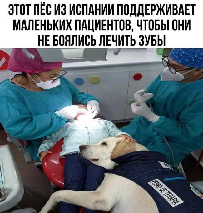 ϸ���������