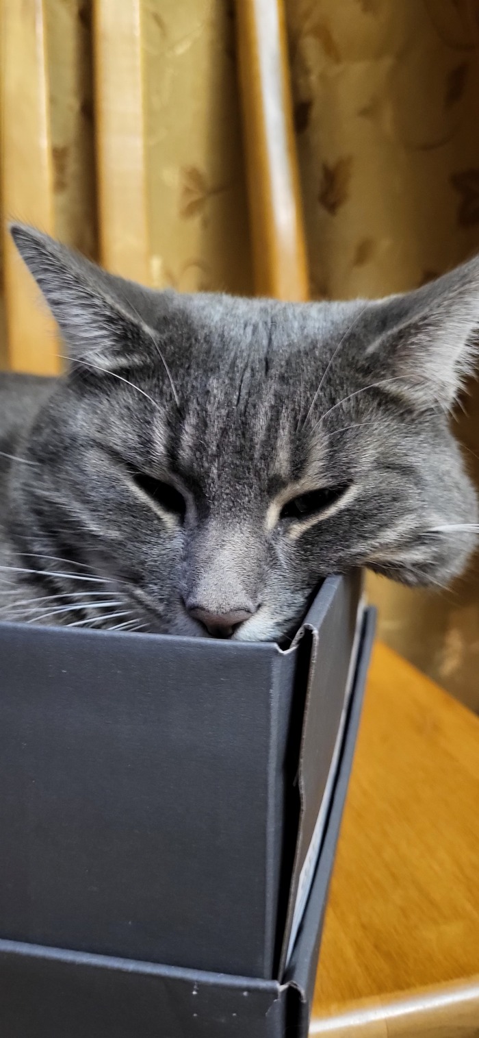 �� ������