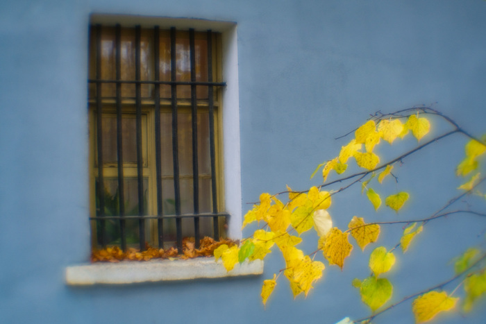 Где ты, собачья дверь в лето?