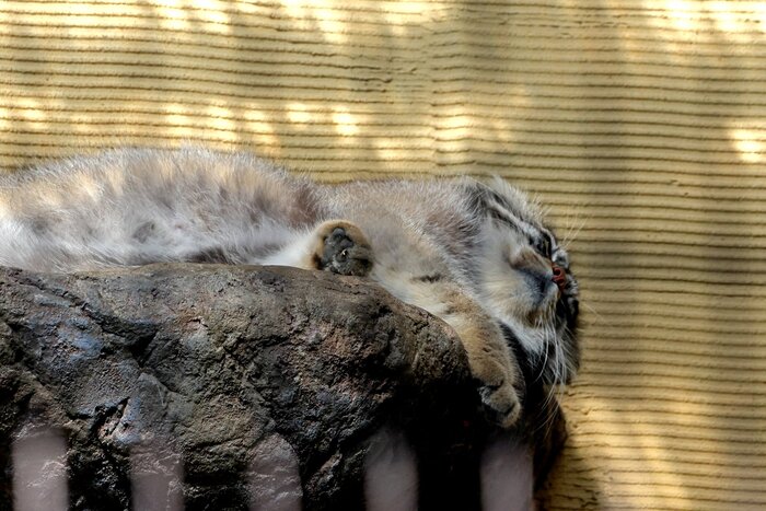 ��... ��������