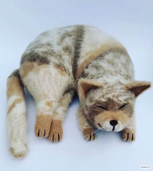 Спящий кот 2