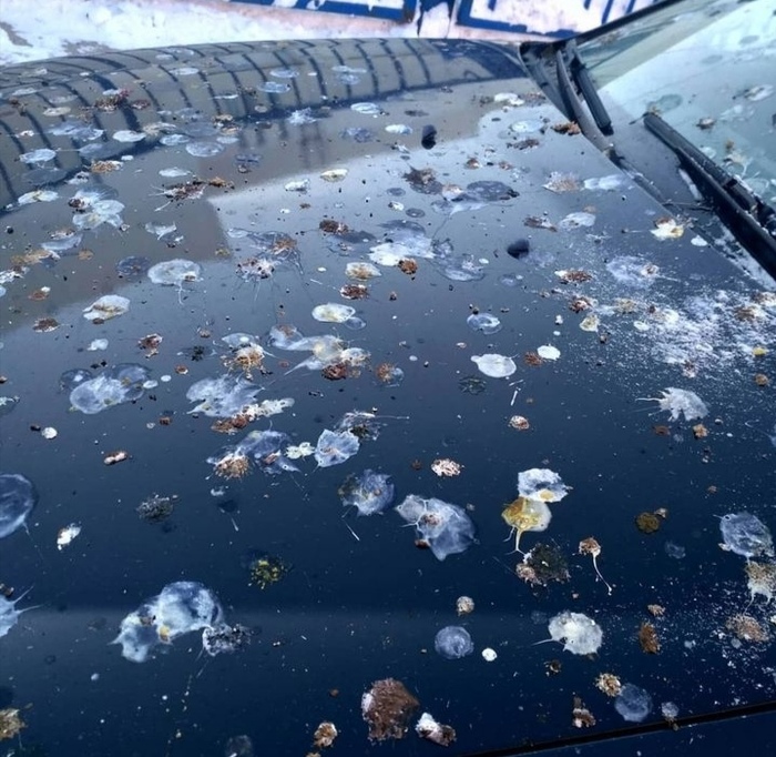 ����� �� ���� �������� �����