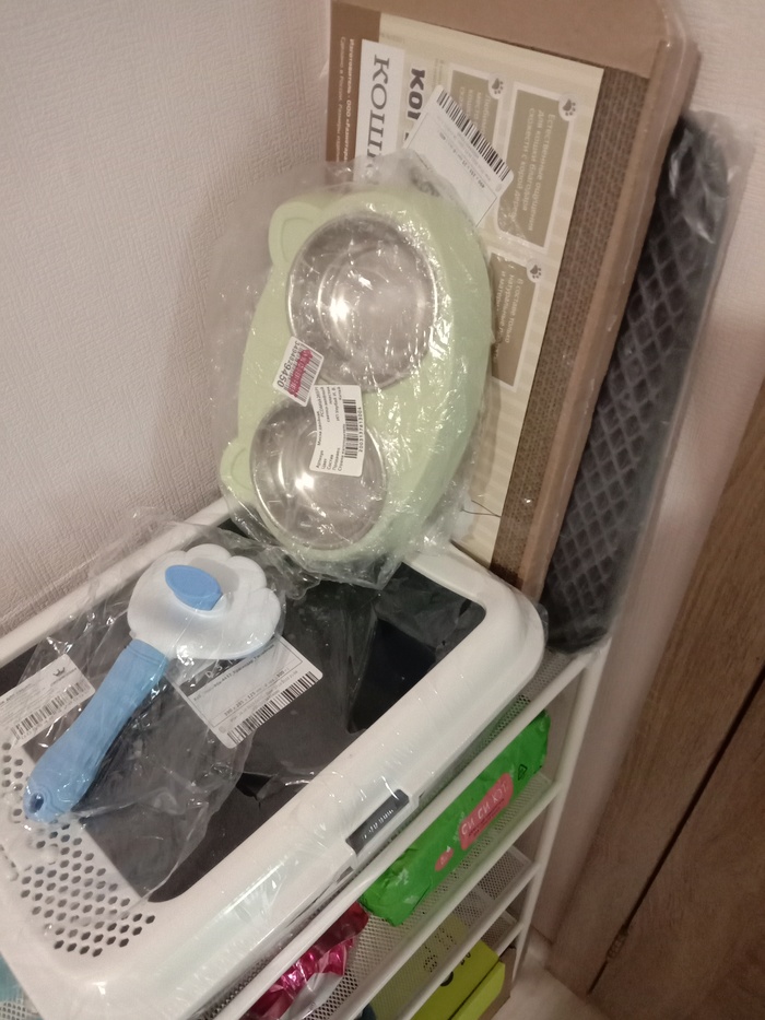 �������-��� "�� ���� � ������ ���"