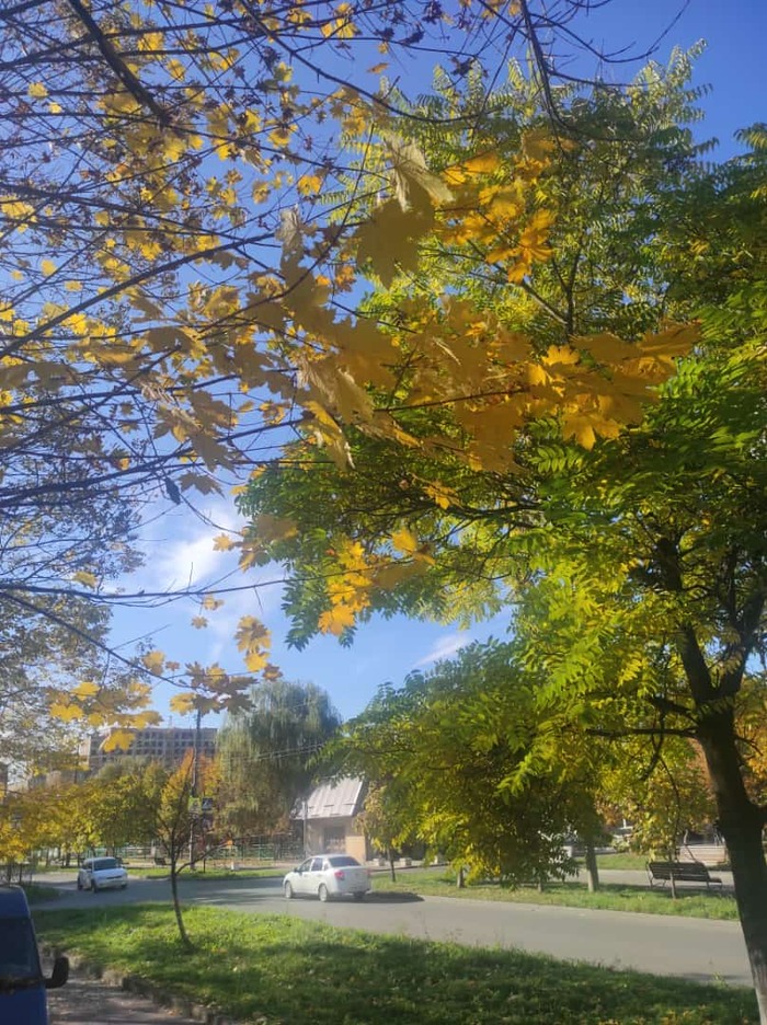 ������ ���������