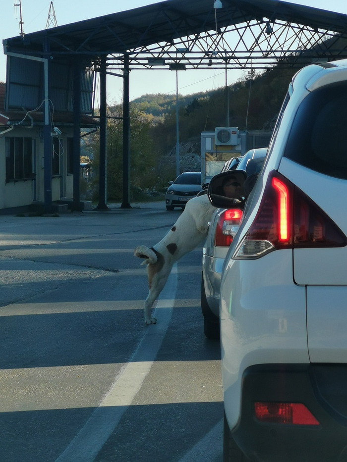 �������� �������