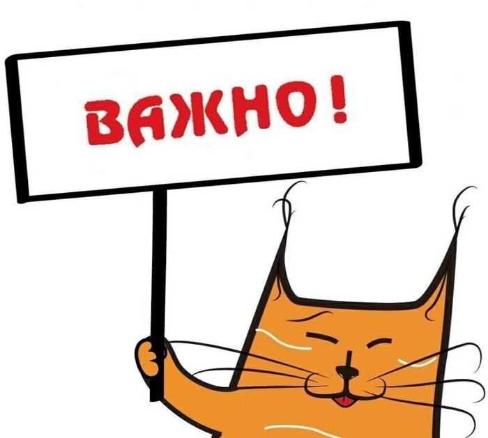 ВНИМАНИЮ ВСЕХ АВТОВЛАДЕЛЬЦЕВ!!! Кот, Автомобилисты, Проверка, Срочно, Длиннопост