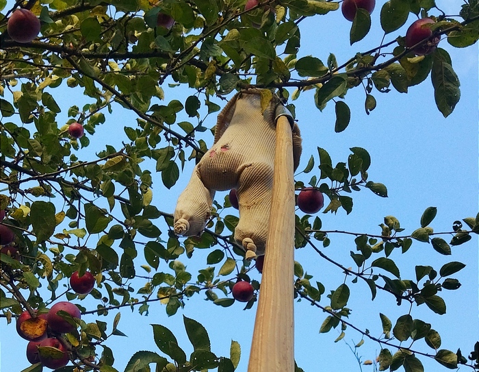  , , , , , ,  , 
