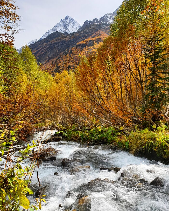 Горная река Осень, Горы, Мобильная фотография, Кавказ, Водопад, Горная река, Красота, Природа, Природа России, Дерево