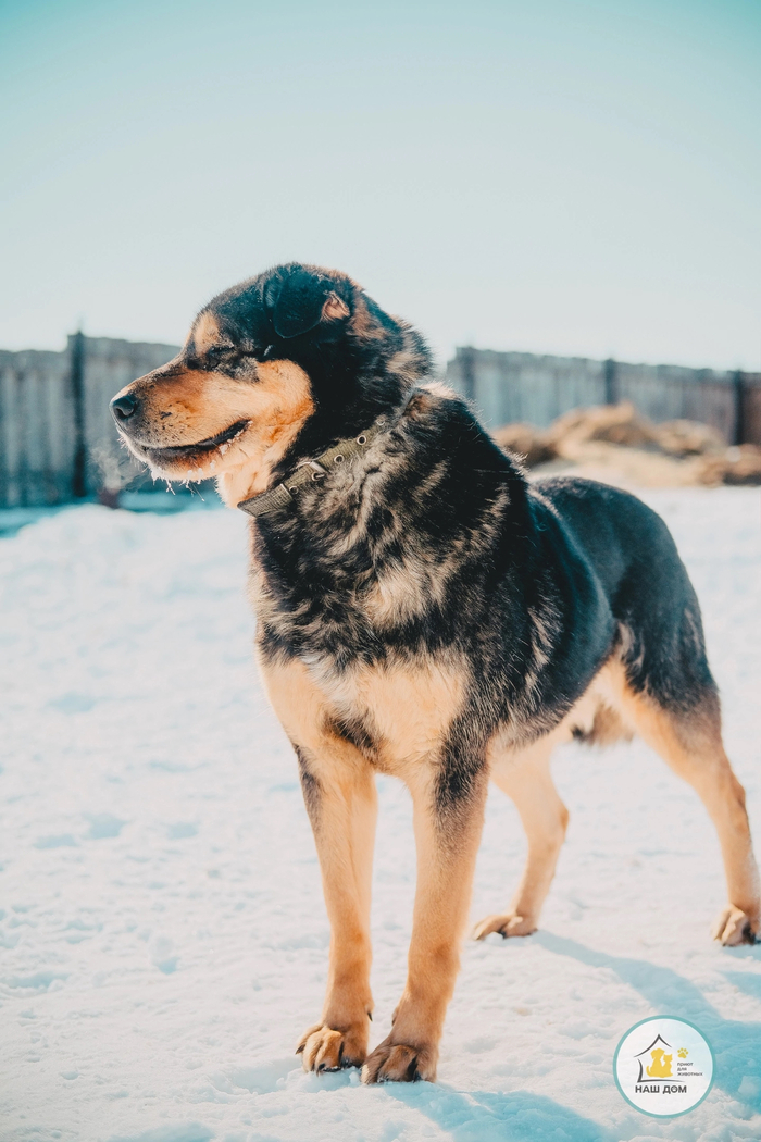 История спасения Етти | Пикабу