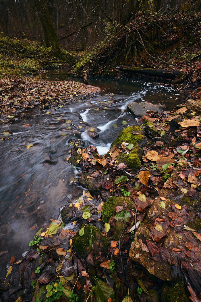 ����� �����, ����� �����