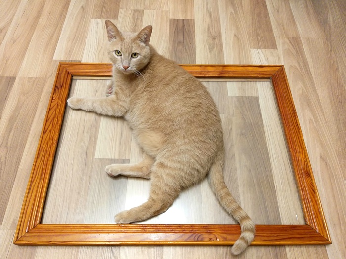    , ,  , , ,  ,   